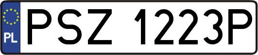 PSZ1223P