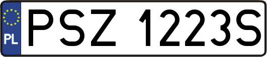 PSZ1223S