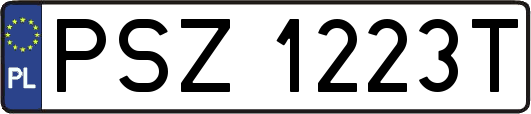 PSZ1223T
