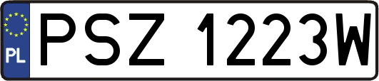 PSZ1223W