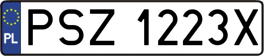 PSZ1223X