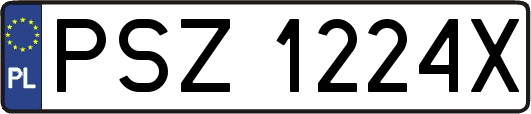 PSZ1224X