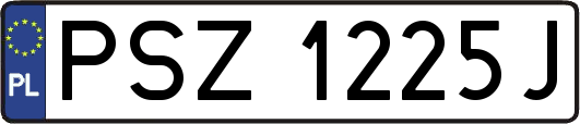 PSZ1225J