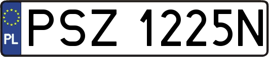 PSZ1225N