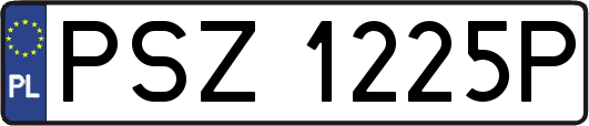 PSZ1225P