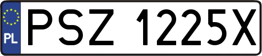 PSZ1225X