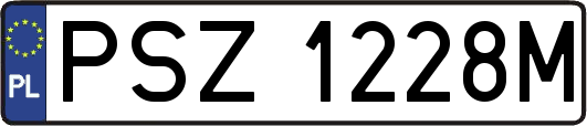 PSZ1228M