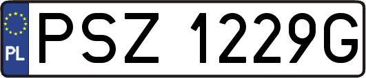 PSZ1229G