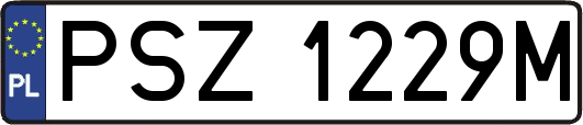 PSZ1229M