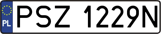 PSZ1229N