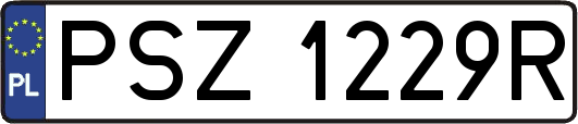 PSZ1229R