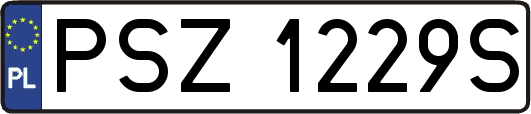 PSZ1229S