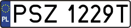 PSZ1229T