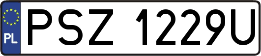 PSZ1229U