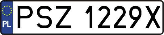 PSZ1229X