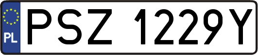 PSZ1229Y