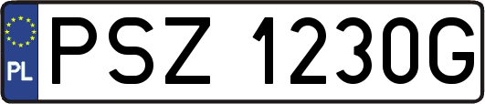PSZ1230G