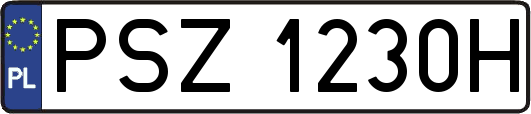 PSZ1230H