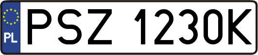 PSZ1230K