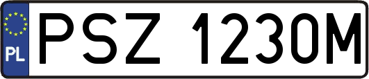 PSZ1230M