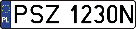 PSZ1230N