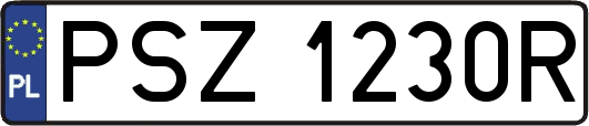 PSZ1230R