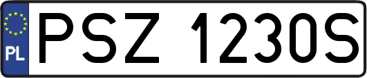 PSZ1230S
