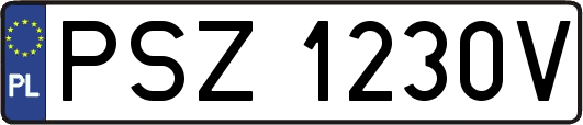 PSZ1230V