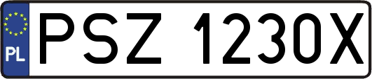 PSZ1230X