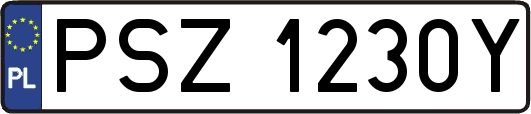 PSZ1230Y