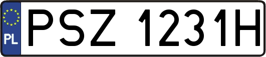 PSZ1231H