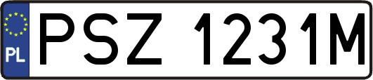 PSZ1231M