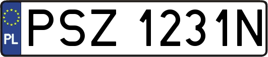 PSZ1231N