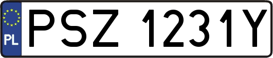 PSZ1231Y