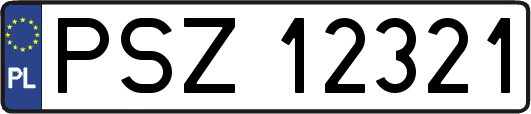 PSZ12321