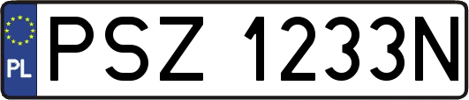 PSZ1233N
