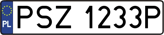 PSZ1233P