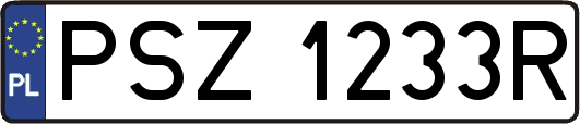 PSZ1233R