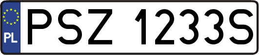 PSZ1233S