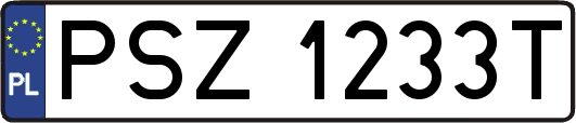 PSZ1233T