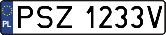 PSZ1233V