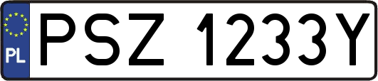 PSZ1233Y