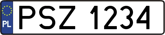 PSZ1234