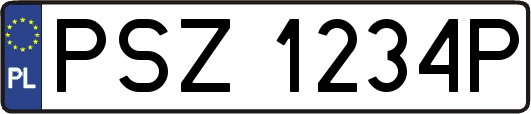 PSZ1234P