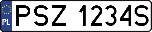 PSZ1234S