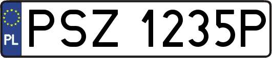 PSZ1235P