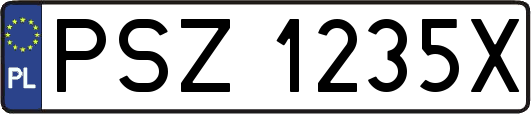 PSZ1235X