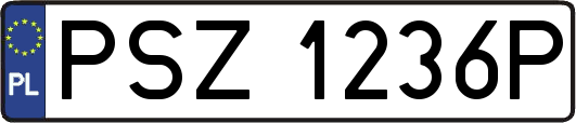 PSZ1236P