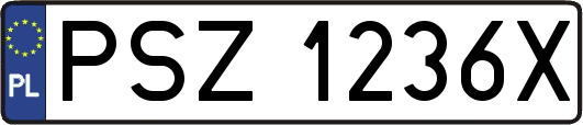 PSZ1236X