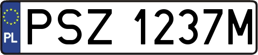 PSZ1237M